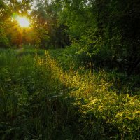 ***** :: юрий поляков