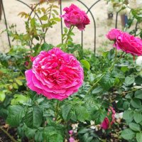 ,,, :: Сергей Тимоновский