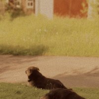 *** :: Любовь *** :: Любовь