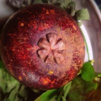 заморский фрукт :: Любовь 