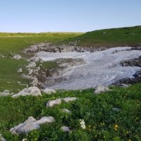 ПЛАТО ЛАГОНАКИ :: Tata Wolf