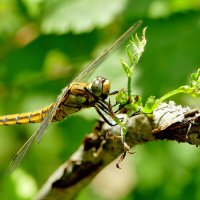 в последний день июня 16 :: Александр Прокудин