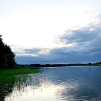 Летний вечер. :: Ольга Довженко