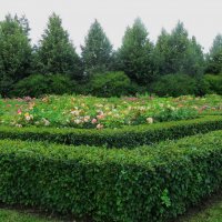 парк принцессы Ольденбургской  Рамонь :: Елена Шаламова