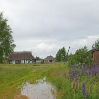 Заброшенная деревенька :: Pippa 