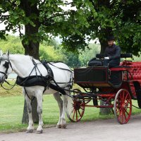 Москва. Усадьба Кусково. :: Наташа *****