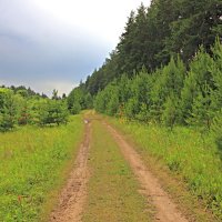 Путь-дорожка... :: Евгений Корьевщиков