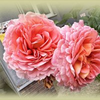 ******** :: Валерия Комова