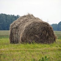 Накрутили :: Валерий Иванович