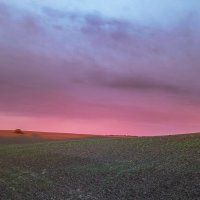 Вечером в поле :: Sergei Vikulov
