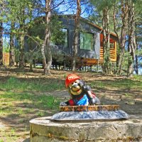 Сантехника вызывали? :: ИРЭН@ .