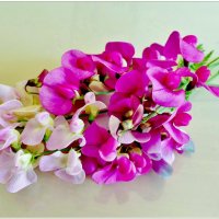 ДУШИСТЫЙ ГОРОШЕК... :: Elvira E. 