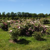 французский парк в Рундале :: ИННА ПОРОХОВА