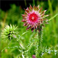 ... :: Юрий Ковшов ... :: Юрий Ковшов