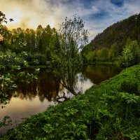 Черёмуховый вечер мая 2. :: Юрий кот