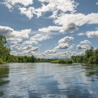 ... :: Жора Житников