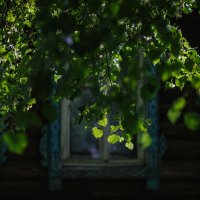 Плёс. Маленький городок на Волге :: Вячеслав Владимирович