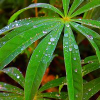 ... :: Владимир иванов