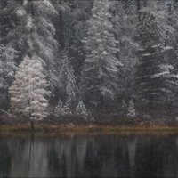 Тонкая грань :: Влад Соколовский