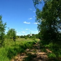 Летний пейзаж :: Леонид Иванчук