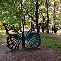 Бабочка-скамейка :: Veera V Бабочка-скамейка :: Veera V