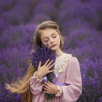 новый год в лаванде... :: Алина Ауман