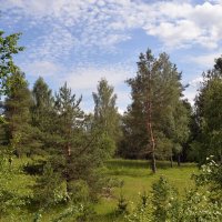 Мимоходом..... :: Игорь Корф