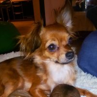 Мама и детки :: Андрей Л. В.