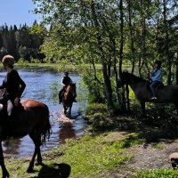 Пора освежиться! :: Ольга 