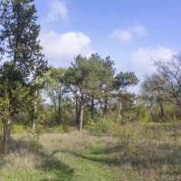 Пейзажи Крыма :: Валентин Семчишин Пейзажи Крыма :: Валентин Семчишин