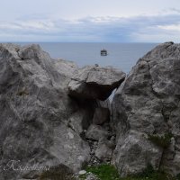 Природа Крыма :: Amazing Cosmea