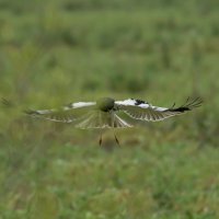 5 :: Сергей Флетчер