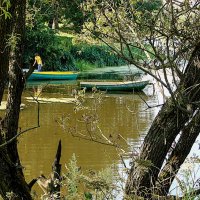 Тихая заводь на Вязёмке,,, :: Анатолий Колосов