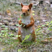 Столбик :: Геннадий Супрун