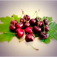 ВИШНЯ... :: Elvira E. 