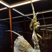 «Девушка-лебедь» Авторская кукла семьи Намдаковых. :: Надежда Чернецкая