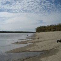 Осень :: Anna Ivanova