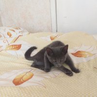 малыш :: Галина Флора