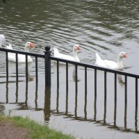 дисциплина прежде всего :: sv.kaschuk дисциплина прежде всего :: sv.kaschuk