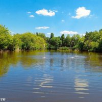 В ростовском зоопарке :: Нина Бутко