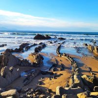 Брег морской.. :: Василий 