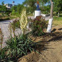 Юкка :: Анатолий Чикчирный Юкка :: Анатолий Чикчирный