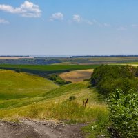 Поля... :: Александр Посошенко