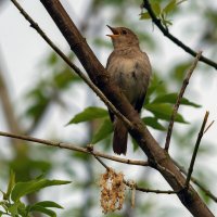 ***** :: Виталий Емельянов ***** :: Виталий Емельянов