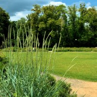 В Аптекарском огороде каждая травинка лечит. :: Татьяна Помогалова