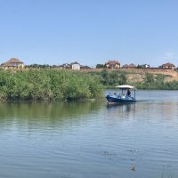 Перевозка пассажиров :: Татьяна 