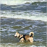 ******* :: Валерия Комова ******* :: Валерия Комова