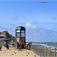 Утро на променаде. :: Валерия Комова