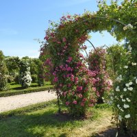 французский парк в Рундале :: ИННА ПОРОХОВА