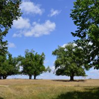 В степи. :: Виктор 
